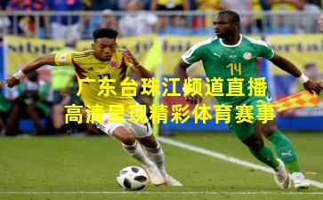 广东台珠江频道直播高清呈现精彩体育赛事