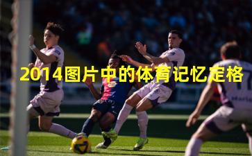 2014图片中的体育记忆定格