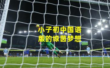 小子初中国语版的绿茵梦想