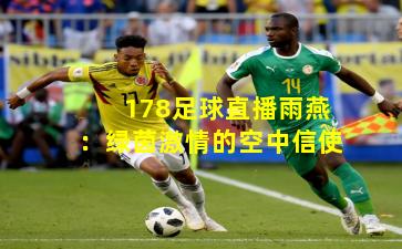 178足球直播雨燕：绿茵激情的空中信使